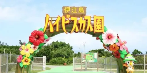 伊江島ハイビスカス園