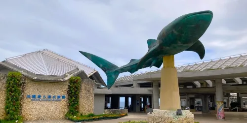 沖縄美ら海水族館の写真